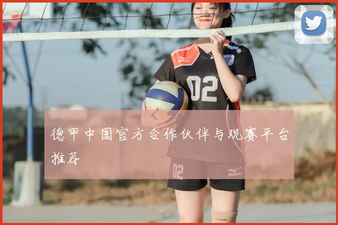 德甲中国官方合作伙伴与观赛平台推荐
