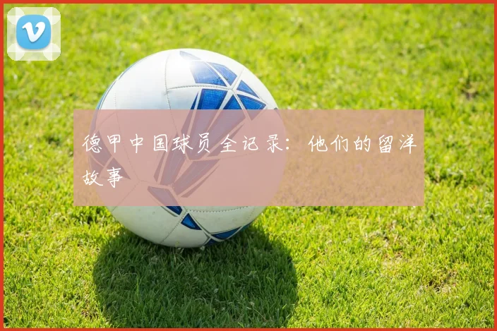 德甲中国球员全记录:他们的留洋故事