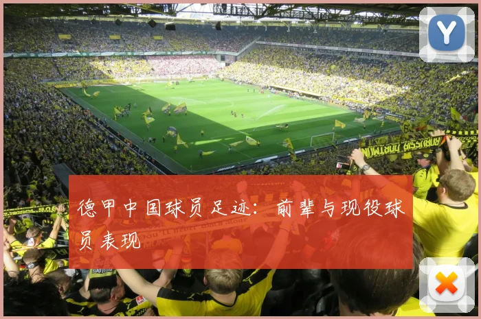 德甲中国球员足迹：前辈与现役球员表现