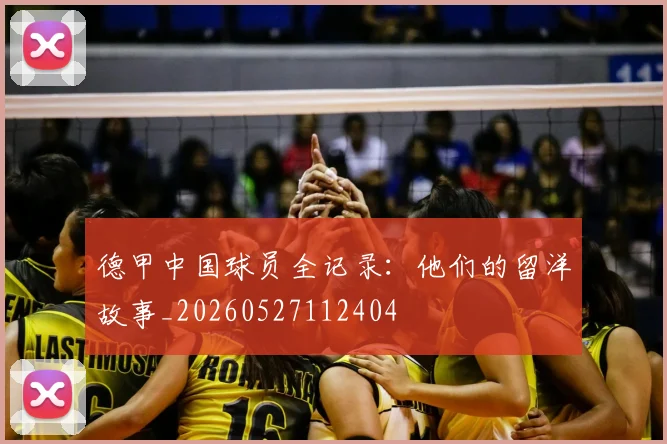 德甲中国球员全记录:他们的留洋故事_20260527112404